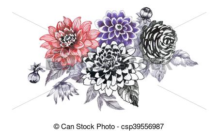 450x270 Hand Drawing Chrysanthemum Flowers Sketch Hand Drawing - Chrysanthemum Drawing