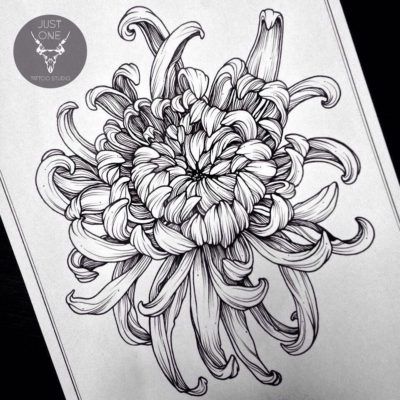 400x400 de recherche d'images pour chrysanthemum drawing - Chrysanthemum Drawing