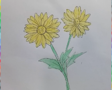 370x297 Chrysanthemum Drawing Archives - Chrysanthemum Drawing