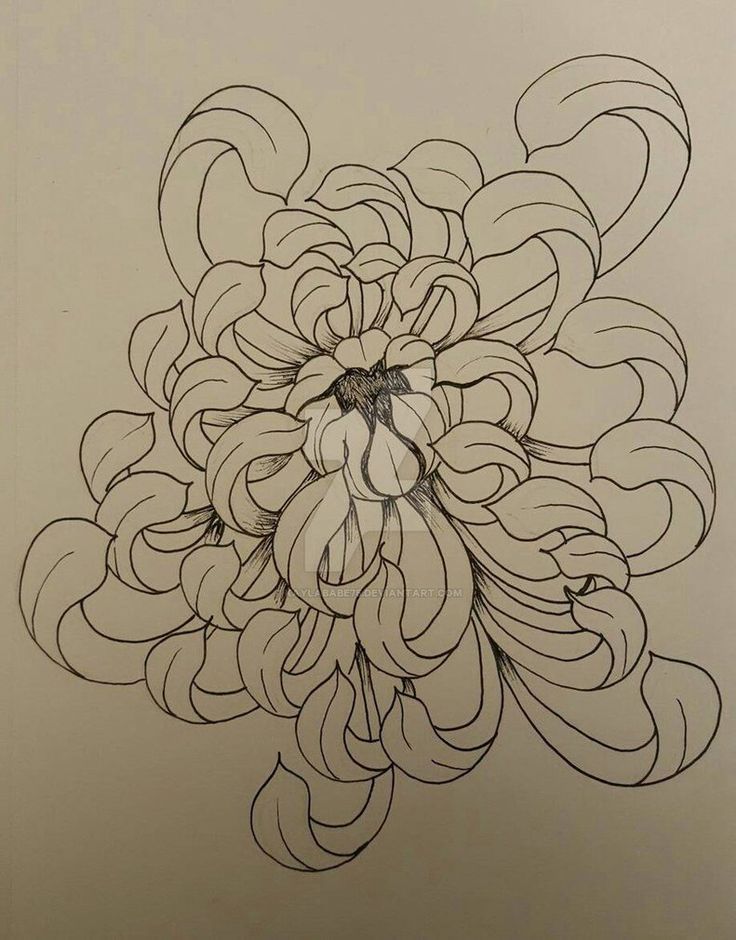 736x940 Pin Ot Polzovatelia Catherine Na Doske Tat Chrysanthemum - Chrysanthemum Flower Drawing