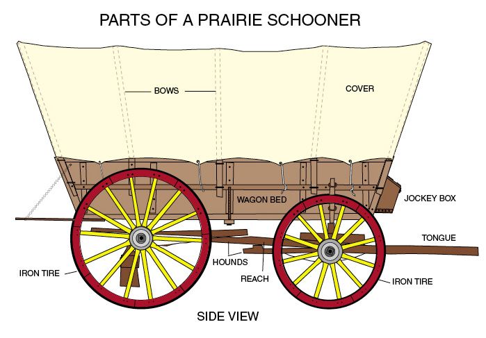 699x487 Conestoga Wagon Plans Labeled Diagram Great For Notebook - Chuck Wagon Drawing