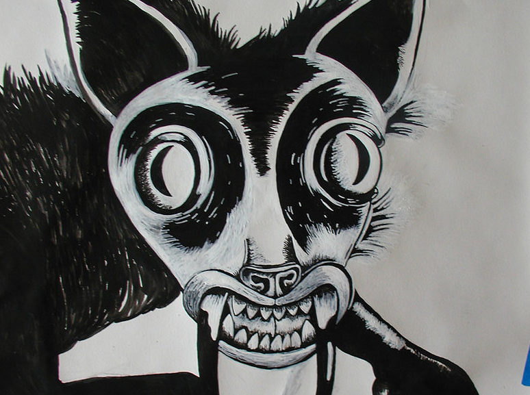 774x577 Chupacabra Photographed! - Chupacabra Drawing