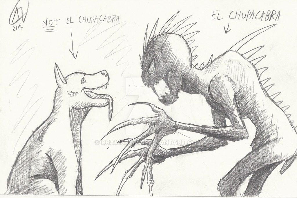 1024x685 What Is El Chupacabra - Chupacabra Drawing