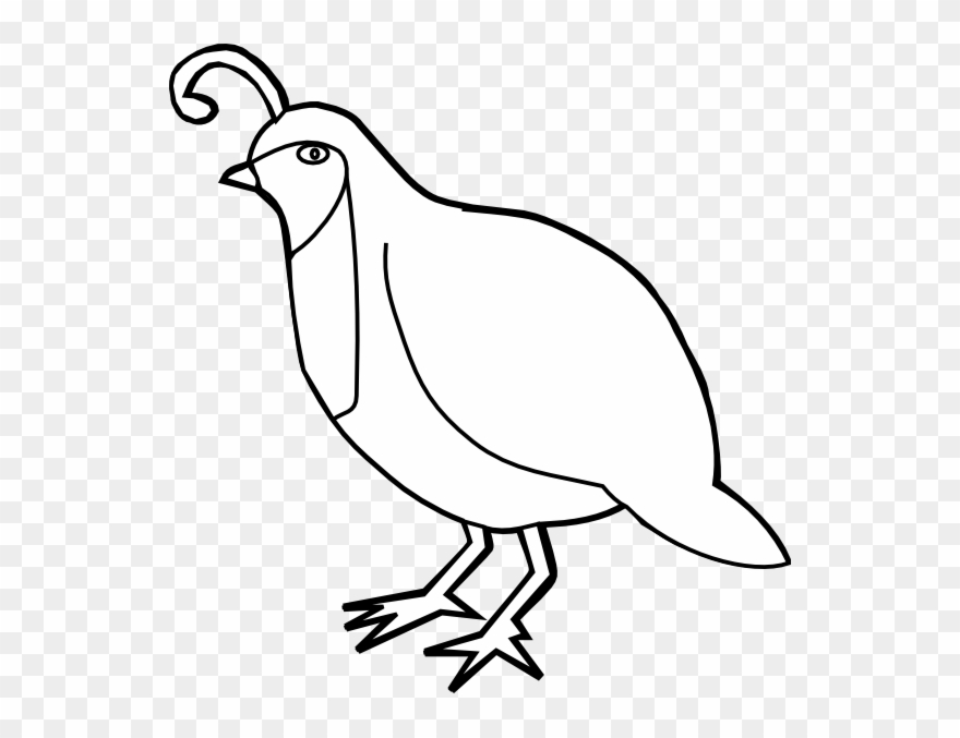 880x677 Quail Outline Hi Pixels Silhouette Art, Church - Church Outline Drawing