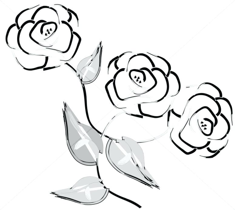 776x694 Simple Rose Outline Three Gray Roses Church Rose Simple Rose - Church Outline Drawing