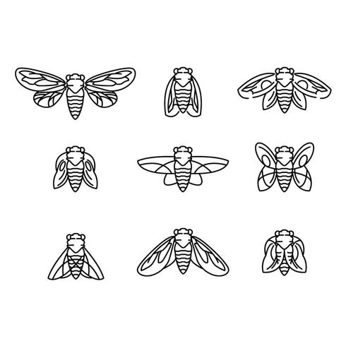 490x490 Fly And Cicada Vector Lineart - Cicada Line Drawing