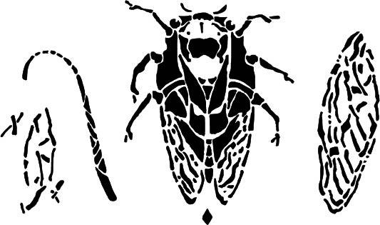 533x315 Cicada Stencil Diane Ericson Design - Cicada Line Drawing