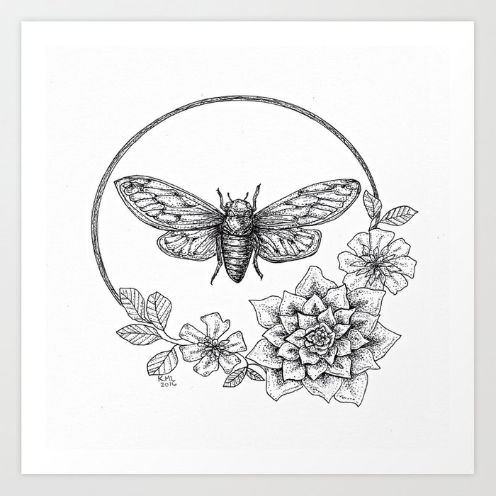 700x700 Cicada - Cicada Line Drawing