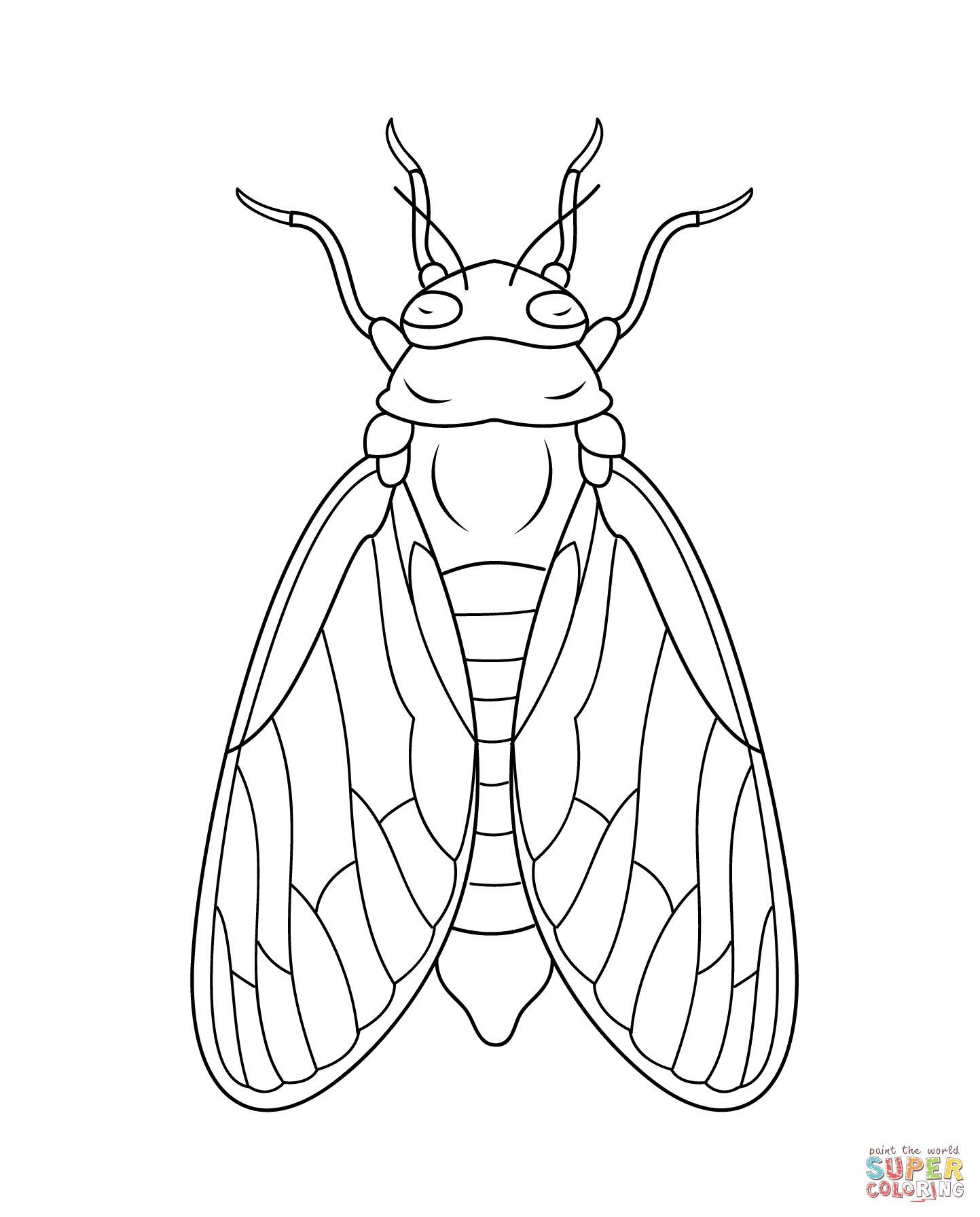 Cicada Line Drawing at Explore collection of