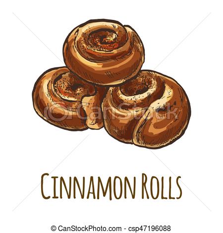 450x470 cinnamon rolls, full color hand drawn vector illustration - Cinnamon Roll Drawing