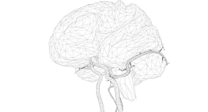 676x365 model blood supply of brain - Circle Of Willis Drawing