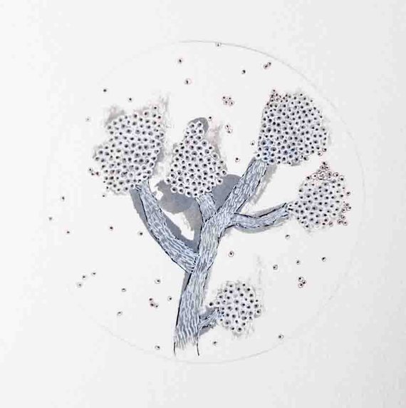 570x572 invented botanical forms circular format daily drawing etsy - Circular Drawings