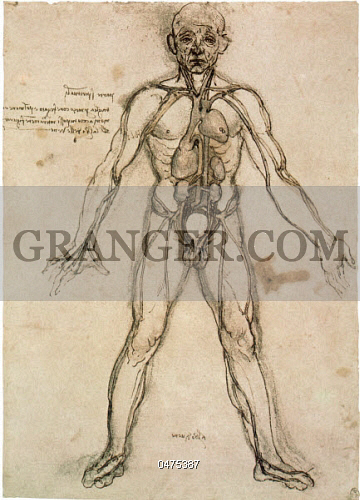 360x500 image of personalities - Circulation Drawing