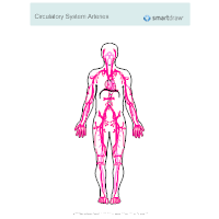 200x200 Circulatory System Diagram - Circulatory System Drawing