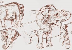 300x210 Circus Elephant Drawing Circus Animal Elephant Coloring - Circus Elephant Drawing
