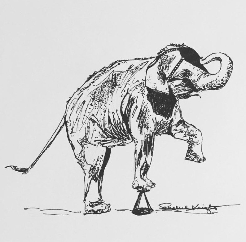 794x781 circus elephant ink sketch ink drawing pen and ink black etsy - Circus Elephant Drawing