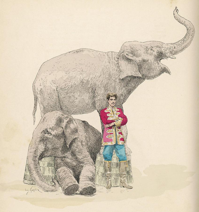 Circus Elephant Drawing at Explore collection of