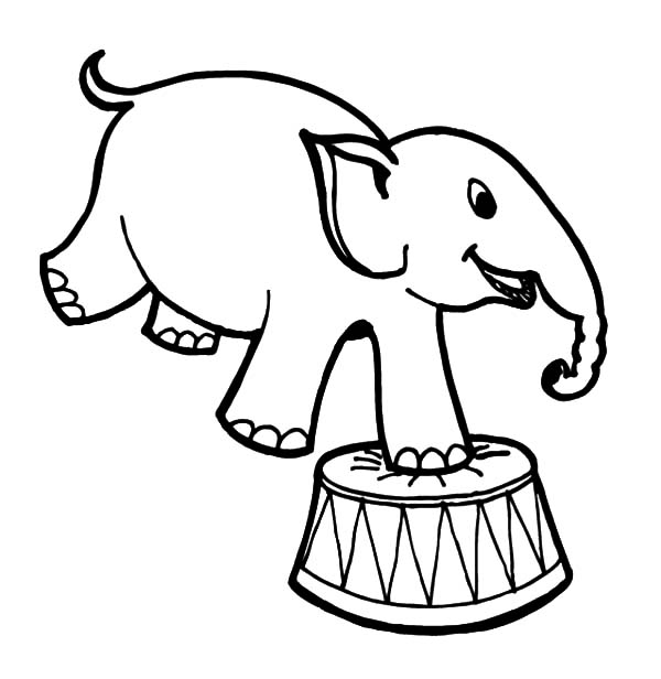 600x616 Circus Drawing Free Download - Circus Elephant Drawing