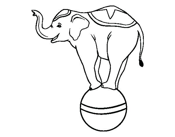600x470 Coloring Pages Of Asian Elephants Elephant - Circus Elephant Drawing