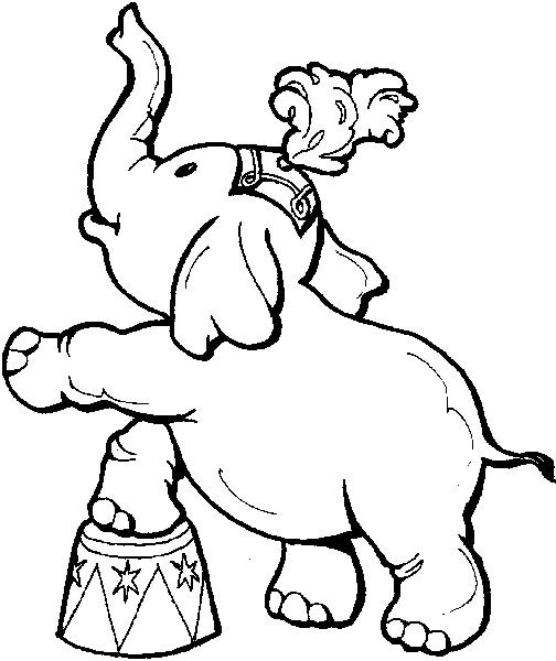 504x600 Circus Elephant Drawing - Circus Elephant Drawing