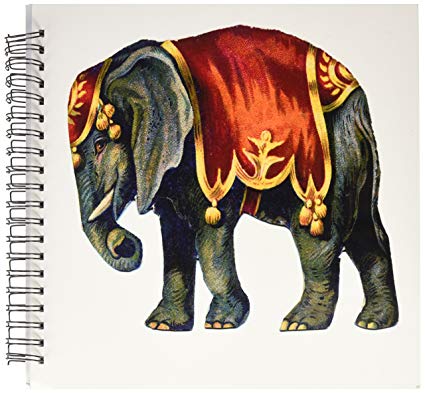 425x393 Db Vintage Circus Elephant Memory Book - Circus Elephant Drawing