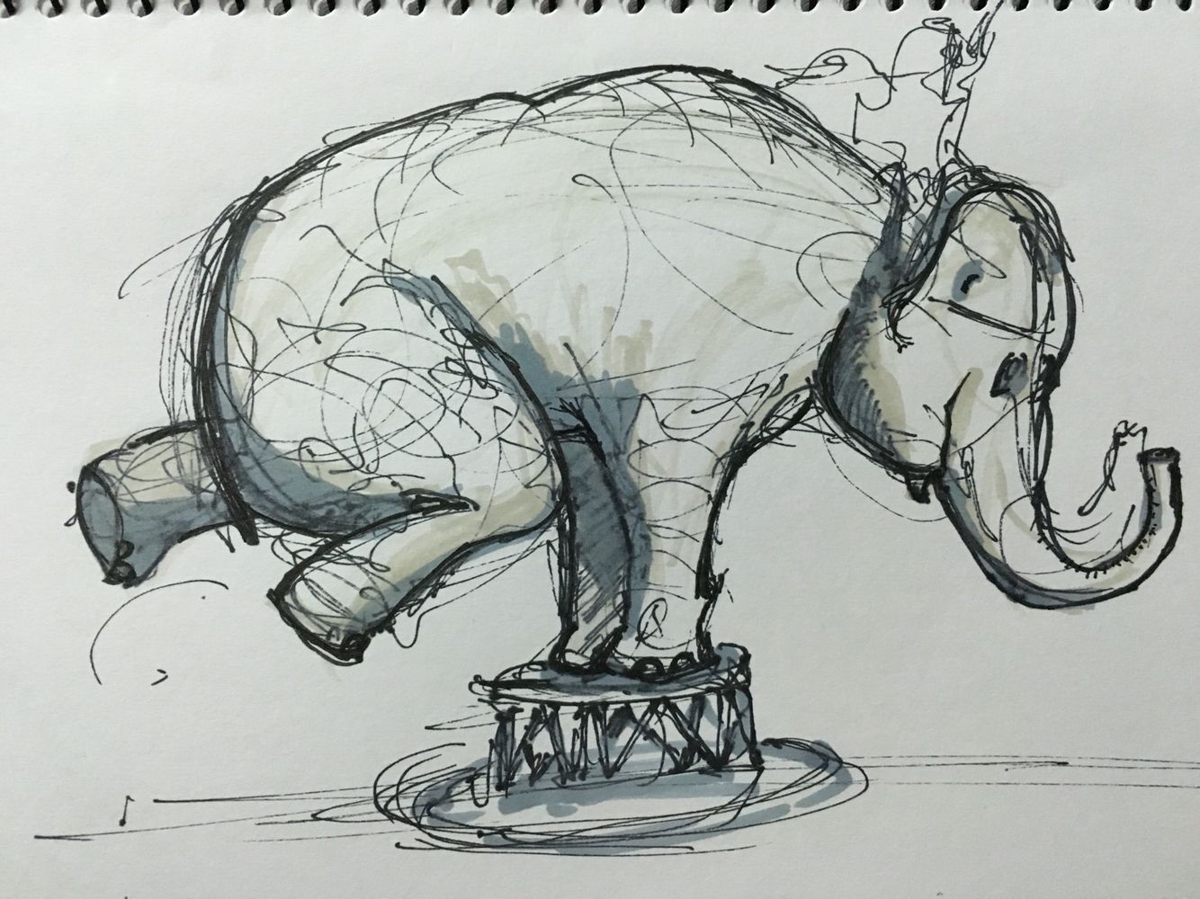 1334x1000 Circus Elephant Drawing, Animation, Ink, Pen, Sketch, Marker - Circus Elephant Drawing