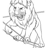 155x155 scar from the lion king coloring - Circus Lion Drawing