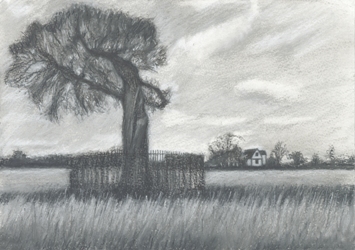 355x250 english civil war drawings - Civil War Drawings