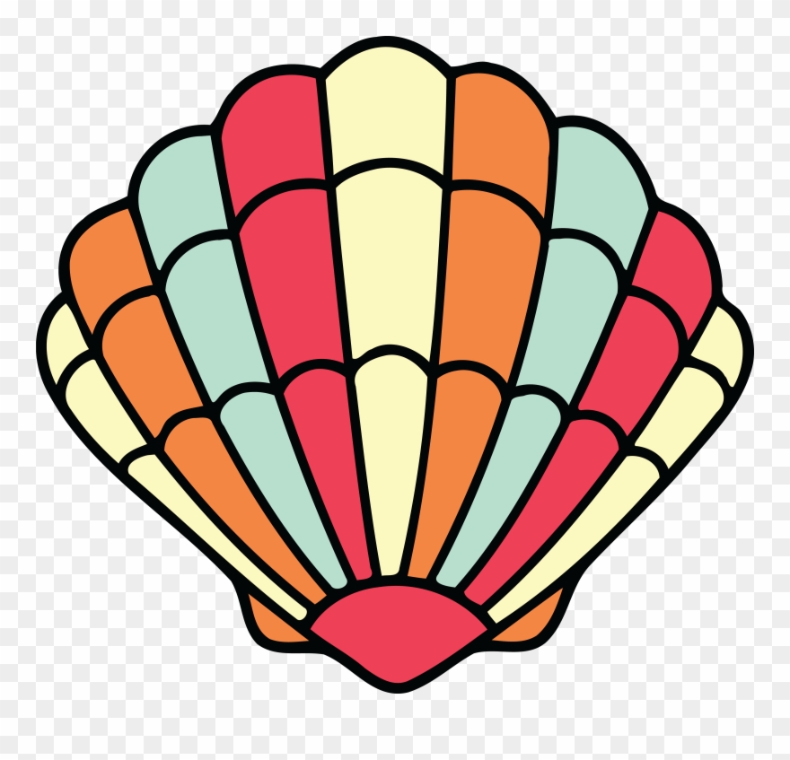 880x847 clipart, clipart seashell seashell clam drawing mollusc - Clam Drawing