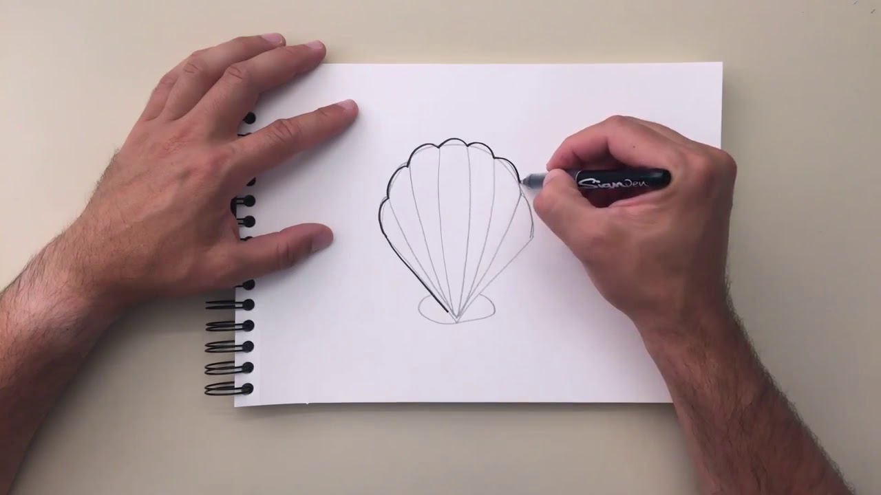 1280x720 how to draw a clam shell - Clam Drawing