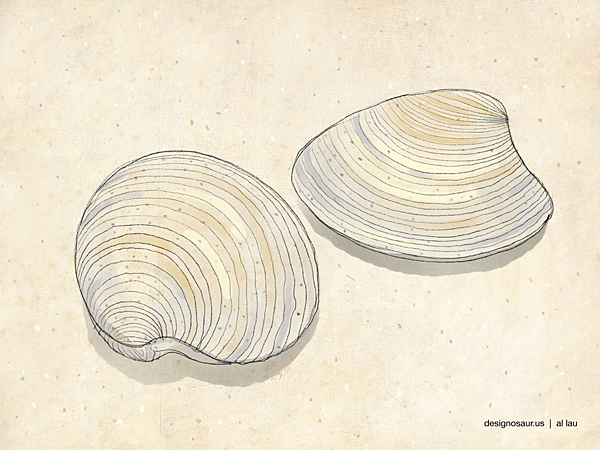 600x450 clam - Clam Drawing