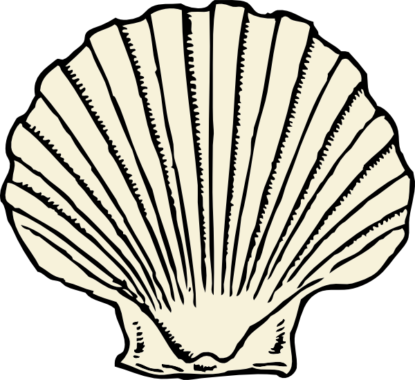 600x549 collection of free clam drawing sea creature download on ui ex - Clam Shell Drawing
