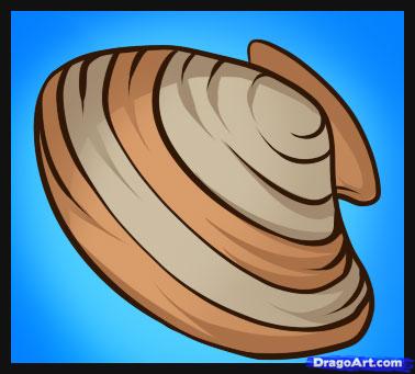 378x341 How To Draw A Shell, Step - Clam Shell Drawing