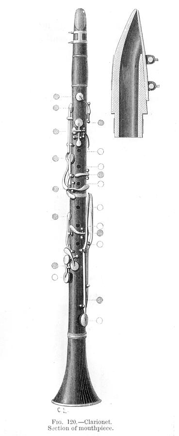 369x900 clarinet showing open and closed holes drawing - Clarinet Drawing