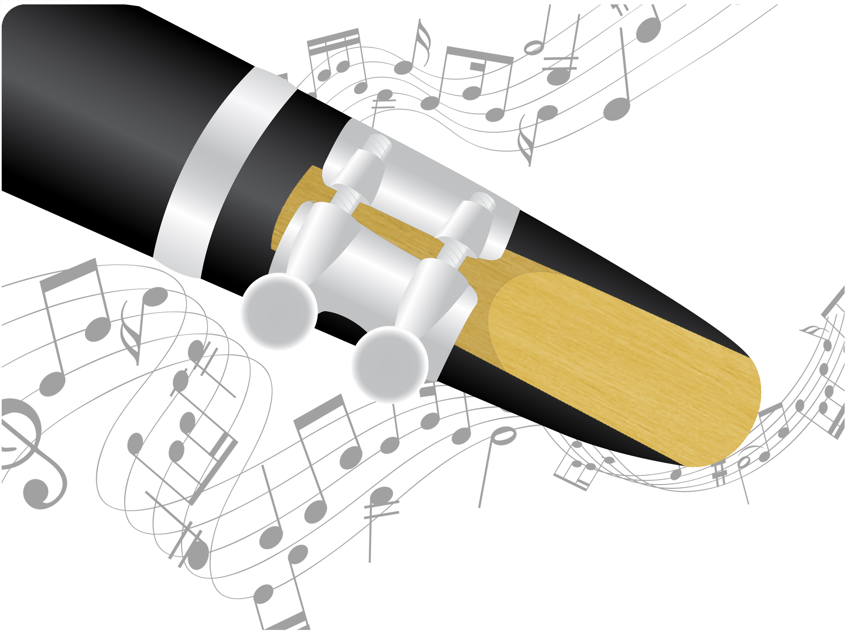 3200x2400 How To Choose A Reed For A Clarinet Steps - Clarinet Drawing Step By Step