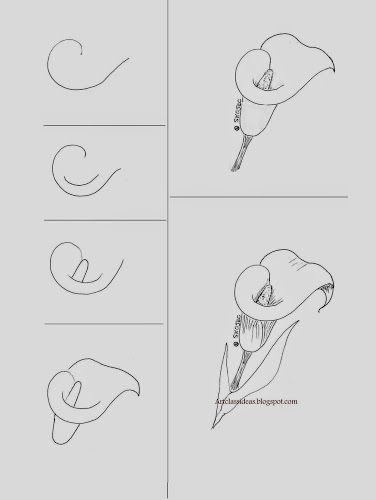 376x500 art class ideas art lesson ideas in drawings, lilies - Class Drawing