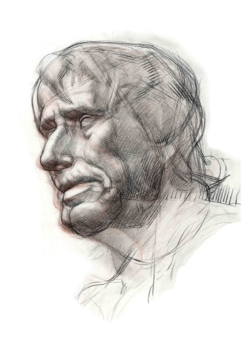 496x702 Kirsten Rosenkrants Grann Portfolio Classical Drawing - Classical Drawing