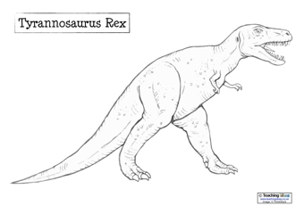 340x240 Dinosaur Line Drawings Teaching Ideas - Classroom Line Drawing