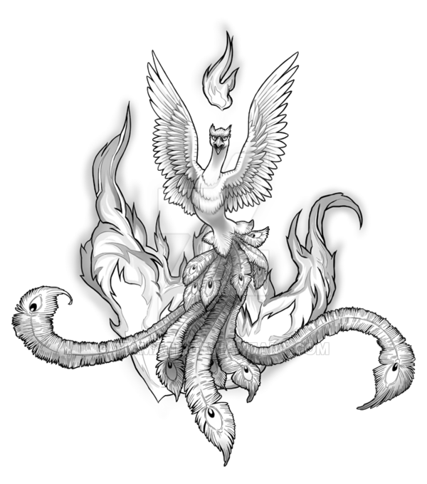 600x680 claw drawing phoenix huge freebie! download for powerpoint - Claw Drawing