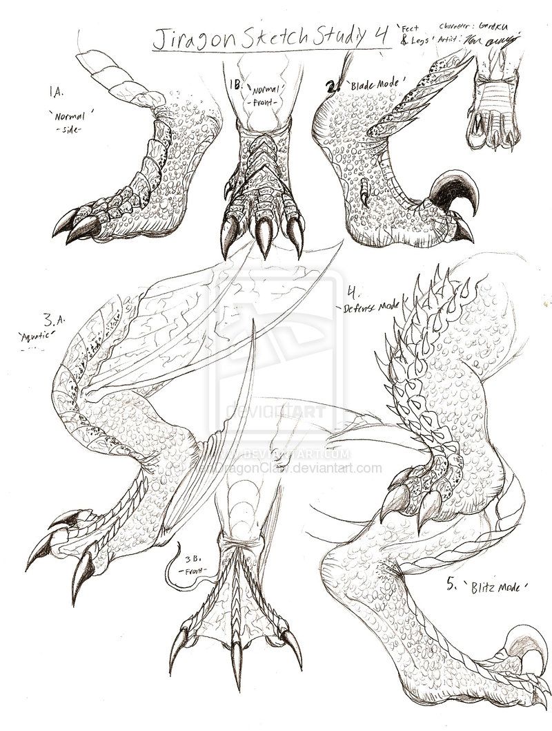 800x1058 how to draw dragon claws jiragon arm and claw sketches pick up - Claw Drawing