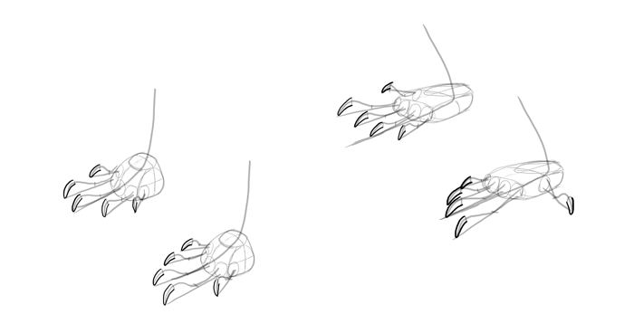 700x347 how to draw lizards - Claw Drawing