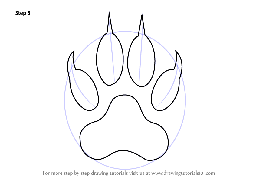 846x600 learn how to draw a tiger claw - Claw Drawing