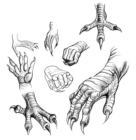 464x478 dragon claw tattoo more dragon claws stuff to try dragon art - Claw Drawing