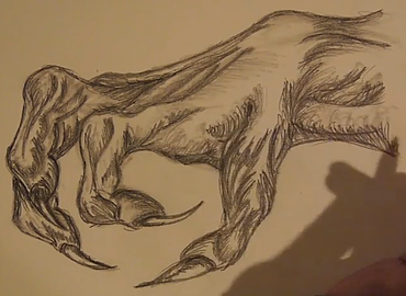 370x270 sss drawingtutorials dragon claw tutorial - Claw Drawing