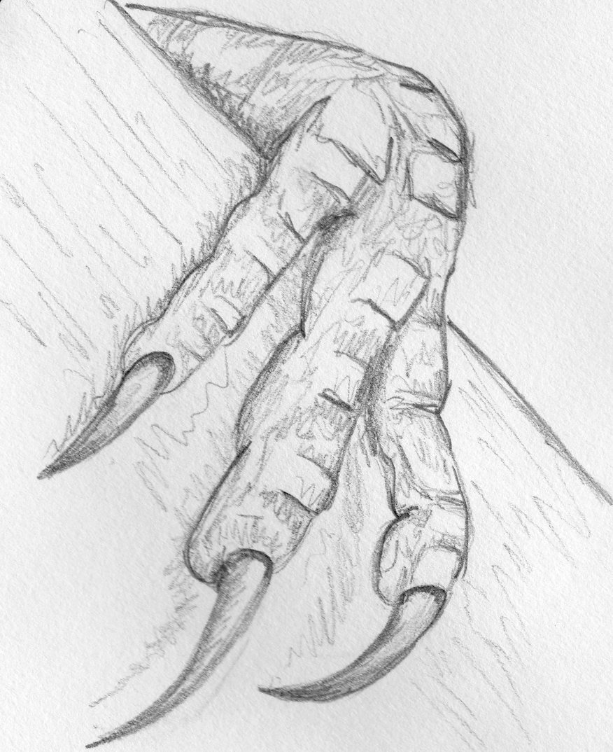 Claw Drawing at Explore collection of Claw Drawing