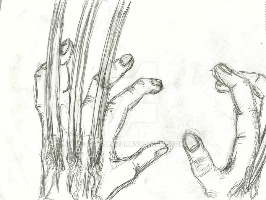 900x677 Claws Drawing Free Download - Claw Hand Drawing