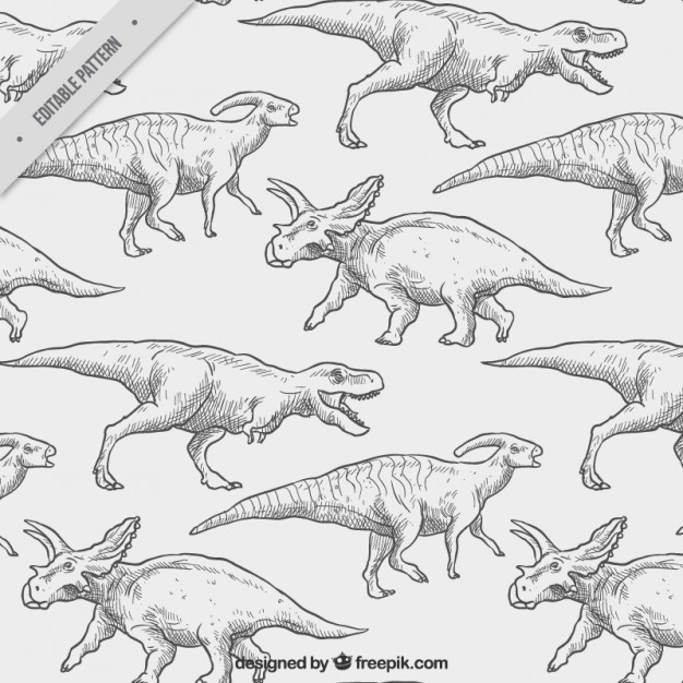 626x626 Hand Drawn Dinosaurs Pattern Vector Free Download - Claw Hand Drawing