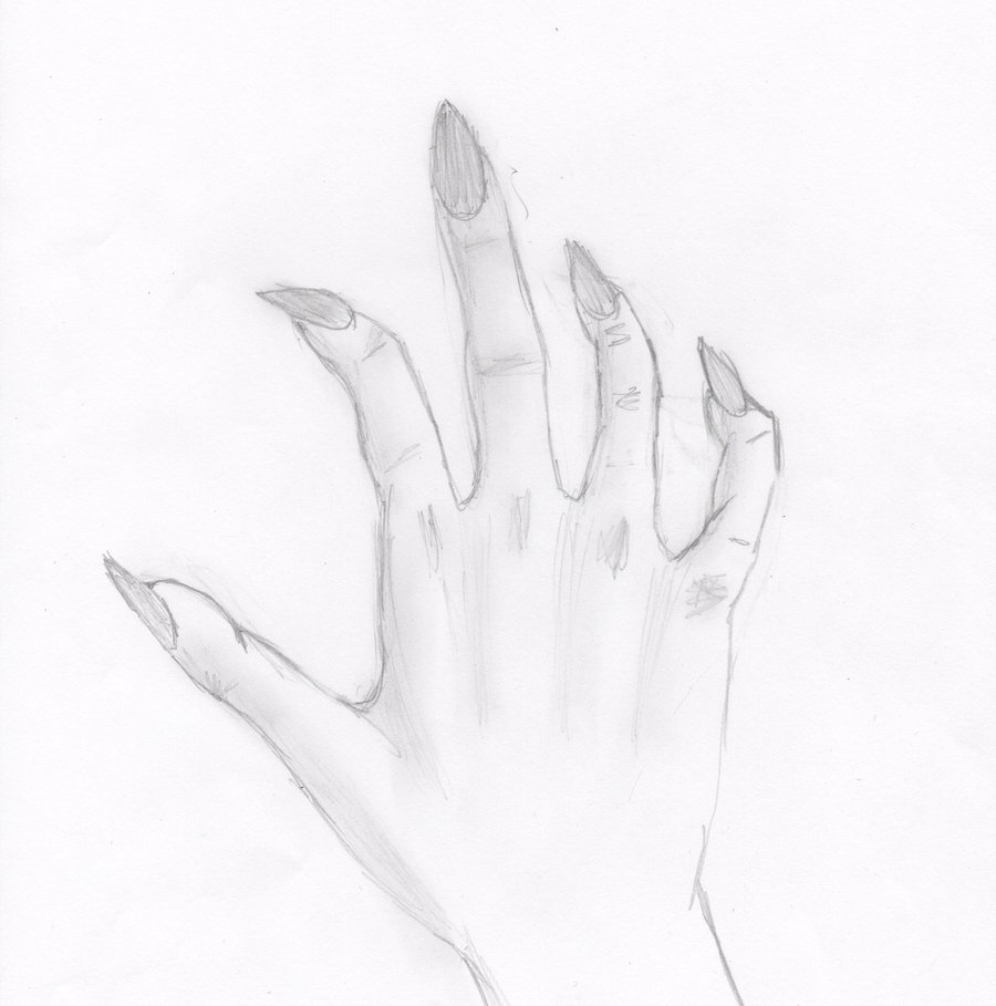 900x909 Huge Collection Of 'claw Hand Drawing' Download More Than - Claw Hand Drawing