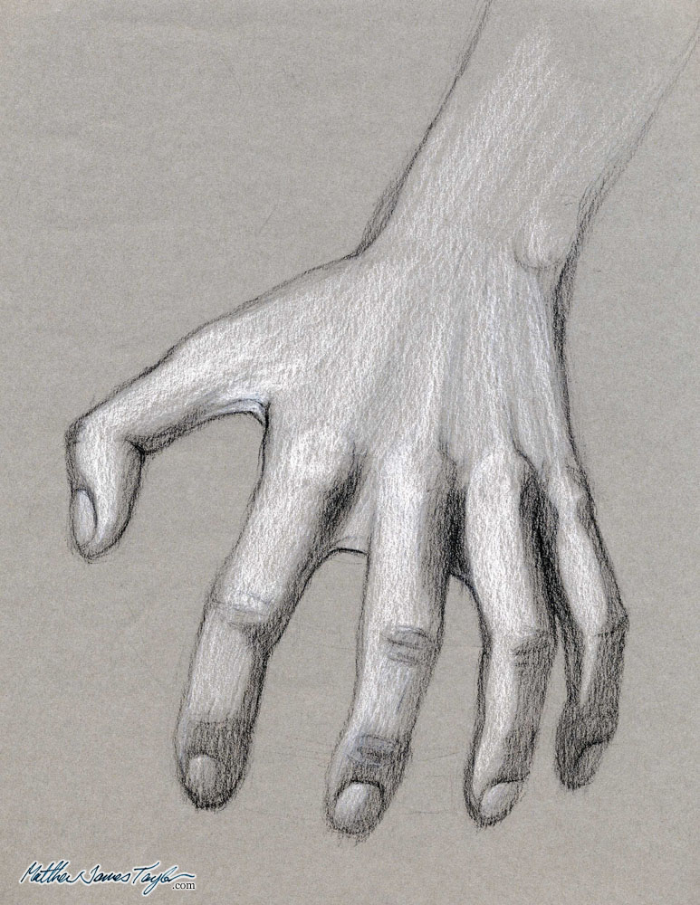 773x1000 Human Anatomy Drawing Studies - Claw Hand Drawing