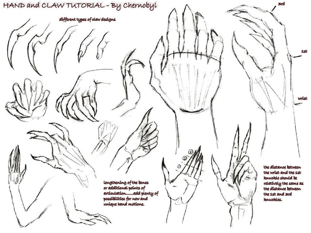 1032x774 Cosplay Ideas In Hand Reference - Claw Hand Drawing